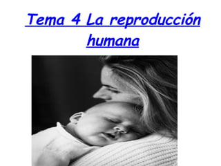 Tema 4 La reproducción humana 