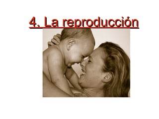 4. La reproducción humana  