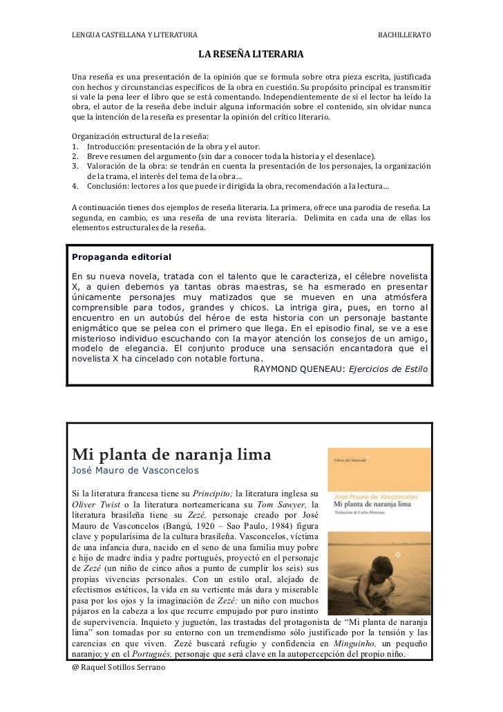La reseña literaria