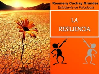 Rosmery Cachay Grández
Estudiante de Psicología
 