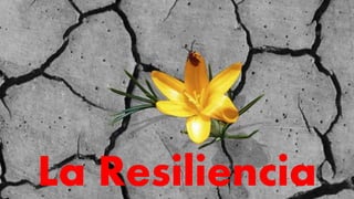 La Resiliencia
 