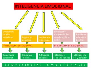 INTELIGENCIA EMOCIONAL
Conocer las
propias
emociones Regular las
emociones
Motivarse a
uno mismo
Reconocer y
comprender las
emociones de los
demás
Establecer
relaciones
positivas
INTELIGENCIA INTRAPERSONAL INTELIGENCIA INTERPERSONAL
Consciencia
emocional
Regulación
emocional
Autonomía
emocional
Habilidades
socioemocionales
Habilidades de
vida y benestar
C O M P E T E N C I A S E M O C I O N A L E S
 