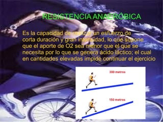 RESISTENCIA ANAERÓBICA
Es la capacidad de realizar un esfuerzo de
corta duración y gran intensidad, lo que supone
que el aporte de O2 sea menor que el que se
necesita por lo que se genera ácido láctico; el cual
en cantidades elevadas impide continuar el ejercicio