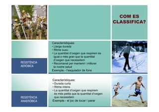 COM ES
CLASSIFICA?

Característiques:

RESISTÈNCIA
AERÒBICA

• Llarga durada
• Ritme suau
• La quantitat d’oxigen que respirem ès
igual o més gran que la quantitat
d’oxigen que necessitem
• Recomanat per mantenir i millorar
la nostre salud

Exemple.- l’esquiador de fons
Característiques:

RESISTÈNCIA
ANAERÒBICA

• Durada curta
• Ritme intens
• La quantitat d’oxigen que respirem
és més petita que la quantitat d’oxigen
que necessitem

Exemple.- el joc de tocar i parar

 