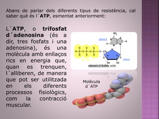 Abans de parlar dels diferents tipus de resistència, cal
saber què és l´ATP, esmentat anteriorment:
L´ATP, o trifosfat
d´adenosina (és a
dir, tres fosfats i una
adenosina), és una
molècula amb enllaços
rics en energia que,
quan es trenquen,
l´alliberen, de manera
que pot ser utilitzada
en els diferents
processos fisiològics,
com la contracció
muscular.
Molècula
d´ATP
 