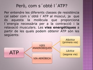 Però, com s´obté l´ATP?
Per entendre les diferents classes de resistència
cal saber com s´obté l´ATP al múscul, ja que
és aquesta la molècula que proporciona
l´energia necessària per a la contracció i la
relaxació musculars. Les vies energètiques a
partir de les quals podem obtenir ATP són les
següents:
ATP
VIES
ANAERÒBIQUES
Alàctica
(primera via)
Làctica
(segona via)
VIA AERÒBICA
 