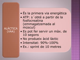 • És la primera via energètica
• ATP: s´obté a partir de la
fosfocreatina
(emmagatzemada al
múscul)
• Es pot fer servir un màx. de
10 segons
• No produeix àcid làctic
• Intensitat: 90%-100%
• Ex.: sprint de 10 metres
ALÀCTICA
(VAA)
 