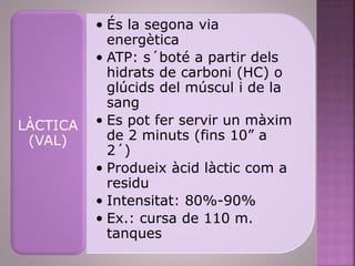 • És la segona via
energètica
• ATP: s´boté a partir dels
hidrats de carboni (HC) o
glúcids del múscul i de la
sang
• Es pot fer servir un màxim
de 2 minuts (fins 10” a
2´)
• Produeix àcid làctic com a
residu
• Intensitat: 80%-90%
• Ex.: cursa de 110 m.
tanques
LÀCTICA
(VAL)
 