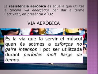 La resistència aeròbica és aquella que utilitza
la tercera via energètica per dur a terme
l´activitat, en presència d´O2
VIA AERÒBICA
És la via que fa servir el múscul
quan és sotmés a esforços no
gaire intensos i pot ser utilitzada
durant períodes molt llargs de
temps.
 