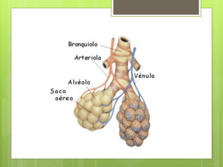 La respiració