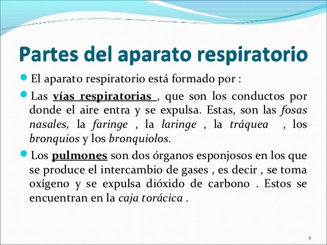 Partes del aparato respiratorioEl aparato respiratorio está formado por :Las vías respiratorias , que son los conductos ...
