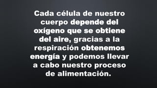 Cada célula de nuestro
cuerpo depende del
oxígeno que se obtiene
del aire, gracias a la
respiración obtenemos
energía y podemos llevar
a cabo nuestro proceso
de alimentación.
 