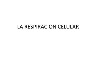 LA RESPIRACION CELULAR 