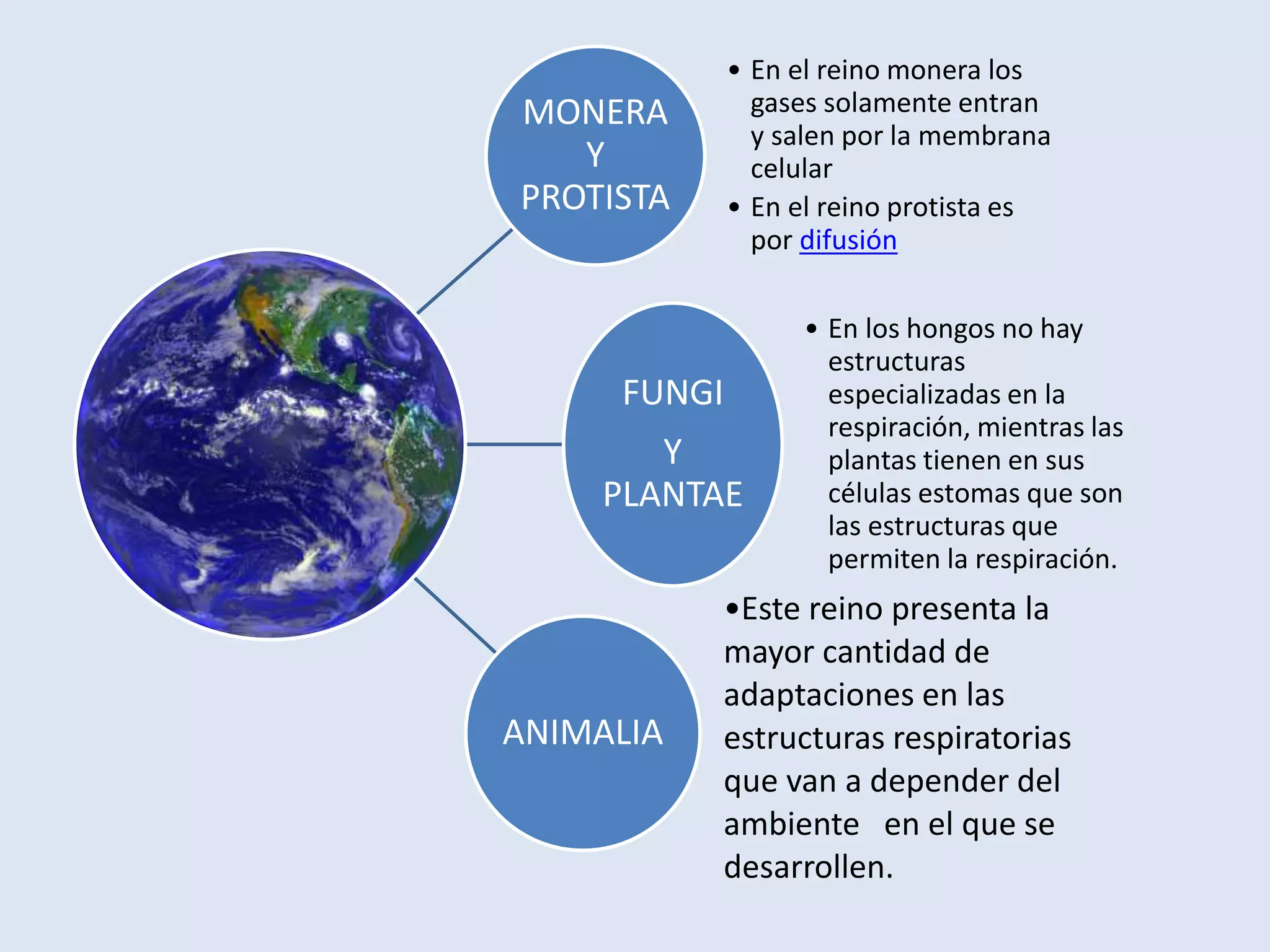 La respiracion de los seres vivos | PPTX