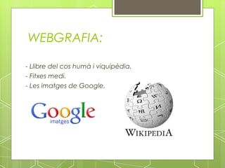 WEBGRAFIA:

- Llibre del cos humà i viquipèdia.
- Fitxes medi.
- Les imatges de Google.
 