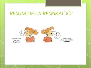 RESUM DE LA RESPIRACIÓ:
 
