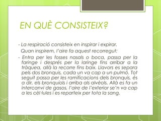 EN QUÈ CONSISTEIX?
- La respiració consisteix en inspirar i expirar.
  Quan inspirem, l’aire fa aquest recorregut:
- Entra per les fosses nasals o boca, passa per la
  faringe i després per la laringe fins arribar a la
  tràquea, allà la recorre fins baix. Llavors es separa
  pels dos bronquis, cada un va cap a un pulmó. Tot
  seguit passa per les ramificacions dels bronquis, és
  a dir, els bronquíols i arriba als alvèols. Allà es fa un
  intercanvi de gasos, l’aire de l’exterior se’n va cap
  a les cèl·lules i es reparteix per tota la sang.
 