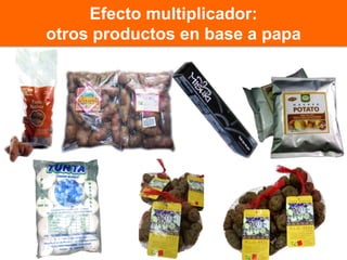 La responsabilidad de generar valor a la biodiversidad