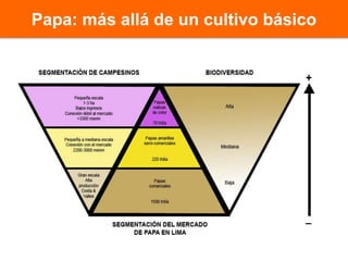 La responsabilidad de generar valor a la biodiversidad