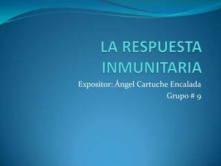LA RESPUESTA INMUNITARIA Expositor: Ángel Cartuche Encalada Grupo # 9 