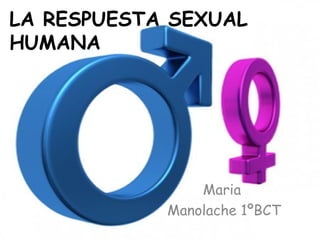 LA RESPUESTA SEXUAL
HUMANA




                Maria
            Manolache 1ºBCT
 