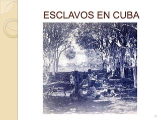 ESCLAVOS EN CUBA37