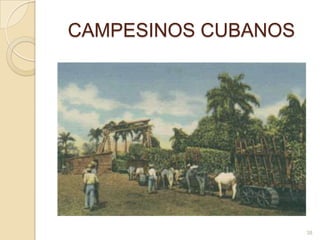 CAMPESINOS CUBANOS38
