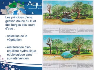 Les principes d’une
gestion douce du lit et
des berges des cours
d’eau :
- sélection de la
végétation
- restauration d’un
équilibre hydraulique
et biologique sans
sur-intervention.
 