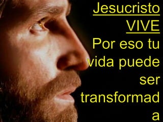 Pido que el Dios de nuestro Señor Jesucristo,  el Padre glorioso,  les dé el Espíritu* de sabiduría y de revelación,  para que lo conozcan mejor.  (Ef.1:17)Pido también que les sean iluminados los ojos del corazón para que sepan a qué esperanza él los ha llamado,  cuál es la riqueza de su gloriosa herencia entre los santos,  (Ef. 1:18)