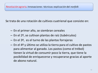 Se trata de una rotación de cultivos cuatrienal que consiste en:
– En el primer año, se siembran cereales
– En el 2º, se cultivan plantas de raíz (tubérculos)
– En el 3º, es el turno de las plantas forrajeras
– En el 4º y último se utiliza la tierra para el cultivo de pastos
para alimentar al ganado. Los pastos (como el trébol)
tienen la virtud de consumir poco la tierra, que tiene la
posibilidad de enriquecerse y recuperarse gracias al aporte
de abono natural.
11
 