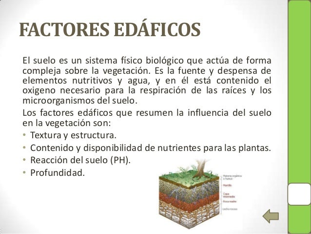 La revegetación