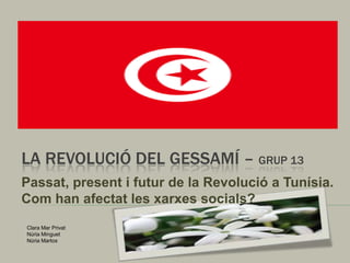 LA REVOLUCIÓ DEL GESSAMÍ – GRUP 13
Passat, present i futur de la Revolució a Tunísia.
Com han afectat les xarxes socials?
Clara Mar Privat
Núria Minguet
Núria Martos
 