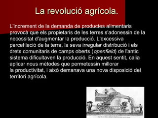 La revolució agrícola.
L'increment de la demanda de productes alimentaris
provocà que els propietaris de les terres s'adonessin de la
necessitat d'augmentar la producció. L'excessiva
parcel·lació de la terra, la seva irregular distribució i els
drets comunitaris de camps oberts (openfield) de l'antic
sistema dificultaven la producció. En aquest sentit, calia
aplicar nous mètodes que permetessin millorar
la productivitat, i això demanava una nova disposició del
territori agrícola.

 