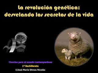 La revolución genética:
desvelando los secretos de la vida




 Ciencias para el mundo contemporáneo
            1º Bachillerato
      ©José María Olmos Nicolás
 