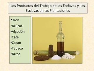 Los Productos del Trabajo de los Esclavos y  las Esclavas en las Plantaciones Ron Azúcar Algodón Café  Cacao Tabaco Arroz 