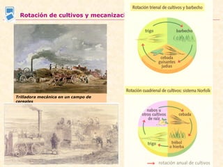Rotación de cultivos y mecanización Trilladora mecánica en un campo de cereales 