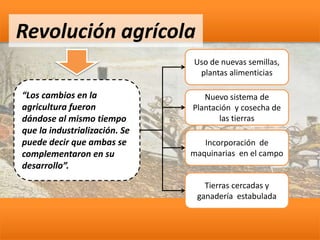 Revolución agrícola
“Los cambios en la
agricultura fueron
dándose al mismo tiempo
que la industrialización. Se
puede decir que ambas se
complementaron en su
desarrollo”.
Uso de nuevas semillas,
plantas alimenticias
Nuevo sistema de
Plantación y cosecha de
las tierras
Incorporación de
maquinarias en el campo
Tierras cercadas y
ganadería estabulada
 