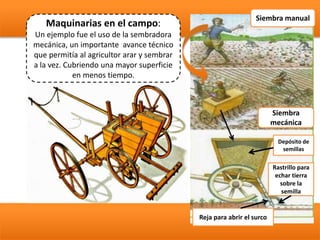 Maquinarias en el campo:
Un ejemplo fue el uso de la sembradora
mecánica, un importante avance técnico
que permitía al agricultor arar y sembrar
a la vez. Cubriendo una mayor superficie
en menos tiempo.
Siembra manual
Siembra
mecánica
Depósito de
semillas
Reja para abrir el surco
Rastrillo para
echar tierra
sobre la
semilla
 