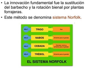 La innovación fundamental fue la sustitución del barbecho y la rotación bienal por plantas forrajeras. Este método se denomina sistema Norfolk.