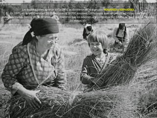Las explotaciones agrarias en la URSS se dividieron en dos grupos: KOLJOSES y SOUVJOSES.
En 1977, en la URSS existían 28.000 koljoses y 18.000 sovjoses. Los koljoses eran empresas agrícolas colectivas
autogestionadas, cooperativas de producción, mientras que los sovjoses eran empresas del Estado, al igual que las fábricas,
las minas, etc.
 