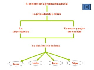 La alimentación humana
favoreciendo
con el aumento de
Carne PapasLeche Trigo
Un mayor y mejor
uso de suelo
La
diversificación
junto a
El aumento de la producción agrícola
La propiedad de la tierra
cambia
 