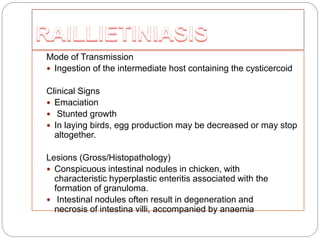 Intestinal Parasites of Poultry | PPTX