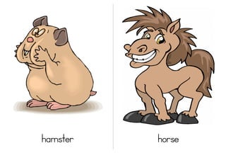 hamster   horse
 