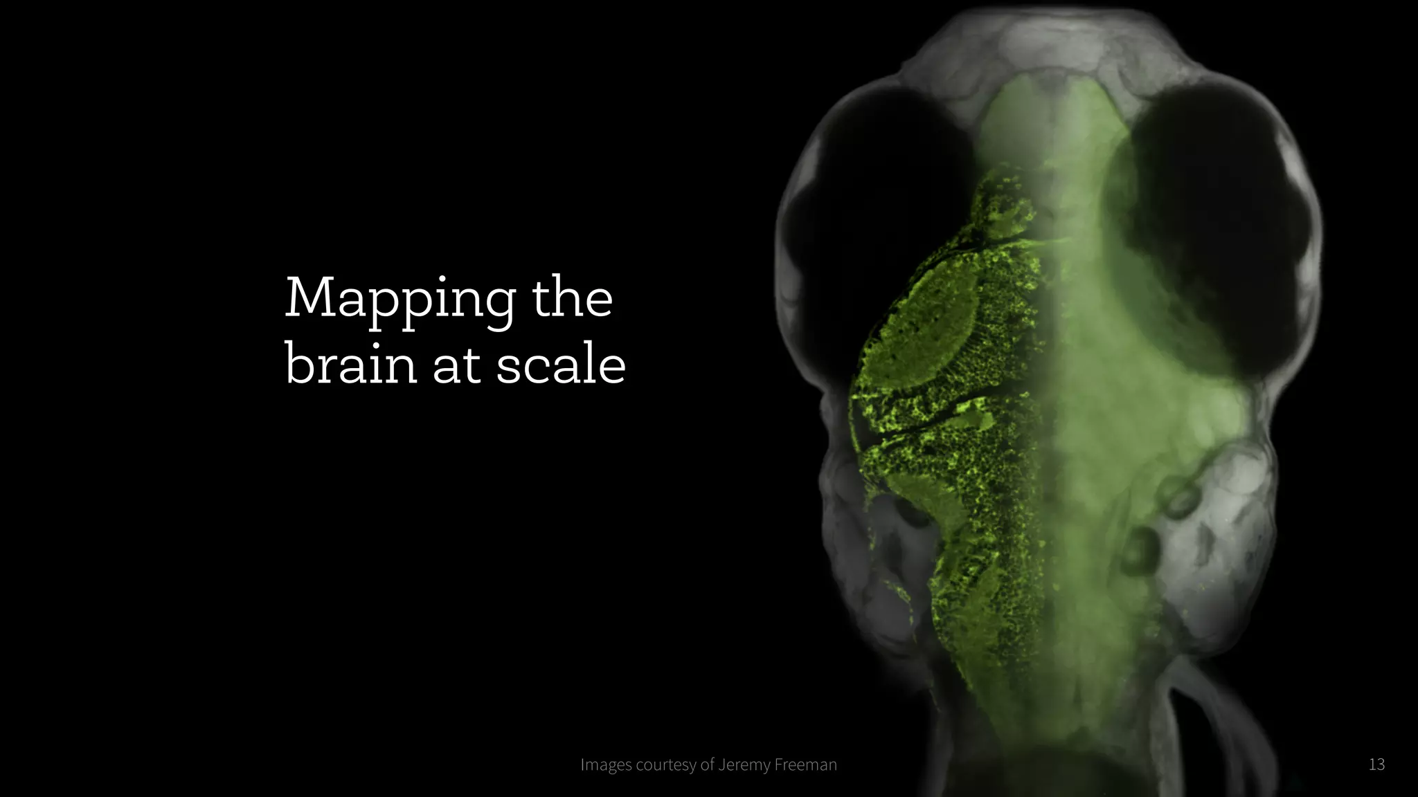 13
Mapping the
brain at scale
Images courtesy of Jeremy Freeman
 