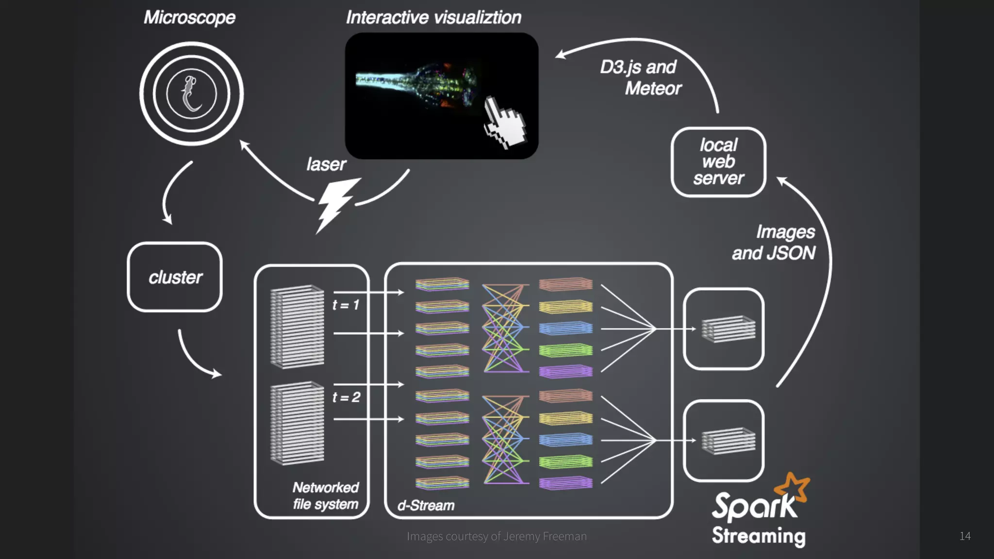 14Images courtesy of Jeremy Freeman
 