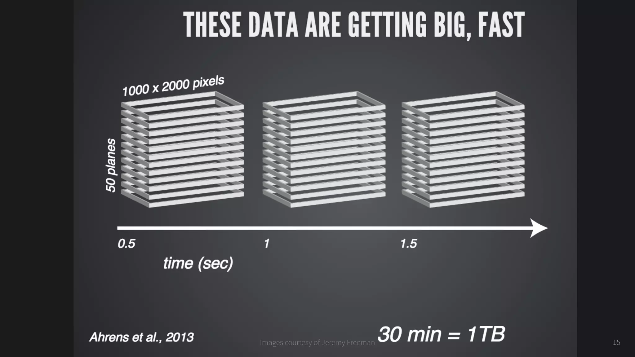 15Images courtesy of Jeremy Freeman
 