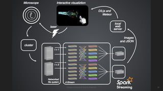14Images courtesy of Jeremy Freeman
 