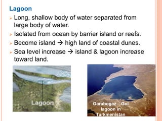 Lagoon
 Long, shallow body of water separated from
  large body of water.
 Isolated from ocean by barrier island or reefs.

 Become island  high land of coastal dunes.

 Sea level increase  island & lagoon increase
  toward land.




                              Garabogaz – Gol
                                 lagoon in
                               Turkmenistan
 