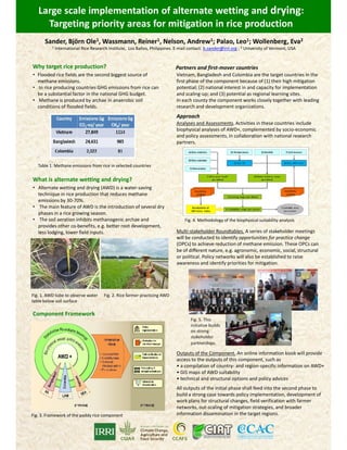Large scale implementation of alternate wetting and drying:
Targeting priority areas for mitigation in rice production
Sander, Björn Ole1, Wassmann, Reiner1, Nelson, Andrew1; Palao, Leo1; Wollenberg, Eva2
1 International Rice Research Institute, Los Baños, Philippines. E-mail contact: b.sander@irri.org ; 2 University of Vermont, USA
Why target rice production?
• Flooded rice fields are the second biggest source of
methane emissions.
• In rice producing countries GHG emissions from rice can
be a substantial factor in the national GHG budget.
• Methane is produced by archae in anaerobic soil
conditions of flooded fields.
P561
What is alternate wetting and drying?
• Alternate wetting and drying (AWD) is a water-saving
technique in rice production that reduces methane
emissions by 30-70%.
• The main feature of AWD is the introduction of several dry
phases in a rice growing season.
• The soil aeration inhibits methanogenic archae and
provides other co-benefits, e.g. better root development,
less lodging, lower field inputs.
Table 1. Methane emissions from rice in selected countries
Partners and first-mover countries
Vietnam, Bangladesh and Colombia are the target countries in the
first phase of the component because of (1) their high mitigation
potential; (2) national interest in and capacity for implementation
and scaling-up; and (3) potential as regional learning sites.
In each county the component works closely together with leading
research and development organizations.
Analyses and Assessments. Activities in these countries include
biophysical analyses of AWD+, complemented by socio-economic
and policy assessments, in collaboration with national research
partners.
Approach
Fig. 4. Methodology of the biophysical suitability analysis
What is alternate wetting and drying?
• Alternate wetting and drying (AWD) is a water-saving
technique in rice production that reduces methane
emissions by 30-70%.
• The main feature of AWD is the introduction of several dry
phases in a rice growing season.
• The soil aeration inhibits methanogenic archae and
provides other co-benefits, e.g. better root development,
less lodging, lower field inputs.
Fig. 1. AWD tube to observe water
table below soil surface
Fig. 2. Rice farmer practicing AWD
Component Framework
Fig. 3. Framework of the paddy rice component
Multi-stakeholder Roundtables. A series of stakeholder meetings
will be conducted to identify opportunities for practice change
(OPCs) to achieve reduction of methane emission. These OPCs can
be of different nature, e.g. agronomic, economic, social, structural
or political. Policy networks will also be established to raise
awareness and identify priorities for mitigation.
Fig. 5. This
initiative builds
on strong
stakeholder
partnerships.
Outputs of the Component. An online information kiosk will provide
access to the outputs of this component, such as
• a compilation of country- and region-specific information on AWD+
• GIS maps of AWD suitability
• technical and structural options and policy advices
All outputs of the initial phase shall feed into the second phase to
build a strong case towards policy implementation, development of
work plans for structural changes, field verification with farmer
networks, out-scaling of mitigation strategies, and broader
information dissemination in the target regions.
 