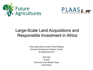 Large scale land acquisitions and responsible investment in Africa | PDF